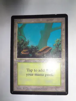 MTG MAGIC THE GATHERING CARD ORIGINAL BETA LAND FOREST B V2 MUSHROOMS BLUE X1 - Image 5