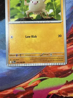 yuka morii pokemon Card Crimped Error - Image 3