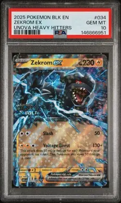 2025 Pokemon Blk En-Black Bolt Zekrom Ex #034 PSA 10 Heavy Hitters Stamp - Image 1