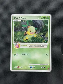 Turtwig Holo 001/PPP Fan Club 2000 EXP PTS Japanese Promo - Pokemon LP+ - Image 1