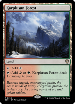 Karplusan Forest - 314 - BLC - Near Mint - MTG - Image 1