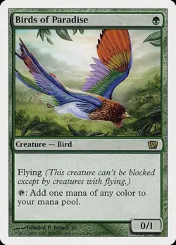 Birds of Paradise 8th Edition LP MTG - Image 1