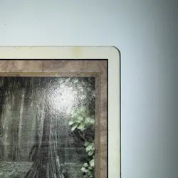 MTG Bayou Revised Edition Regular Rare - Image 3