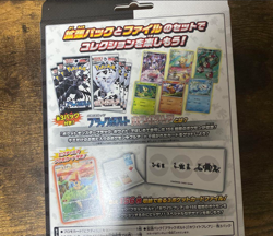 Pokemon Card Black Bolt & White Flare Card file set sv11B sv11W Japanese Ver. - Image 3