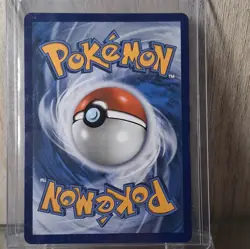 Pokemon Mega Sharpedo ex 127/094 Me02 Phantasmal Flames SIR Holo English - Image 2