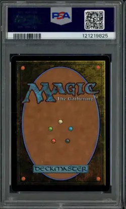 2025 MTG Final Fantasy Borderless Surge Foil #0533 Raubahn Ala Mhigo PSA 10 - Image 2