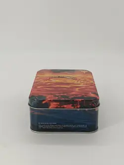 Magic The Gathering Lord Of The Rings Tin The One Ring EMPTY MTG LOTR TCG - Image 5