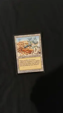 Mtg - Diamond Valley - Arabian Nights (LP) - Image 1