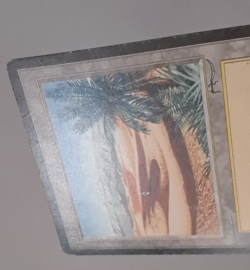 Oasis HP/Damaged Arabian Nights MTG Magic the Gathering - Image 3