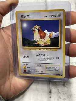 Pidgey No. 016 Base Set Pokemon Japanese NM/MT Vintage Vtg Pokemon Card TCG - Image 1