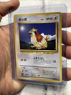 Pidgey No. 016 Base Set Pokemon Japanese NM/MT Vintage Vtg Pokemon Card TCG - Image 2