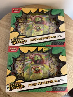 Pokemon TCG Mega Evolution-Ascended Heroes Mega Meganium EX x 2 Boxes - Image 1