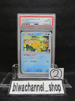 PSA 10| 2025 Pokemon Card Psyduck 262/SV-P Gym Promo Pack 10 Japanese Limited 2 - Image 1