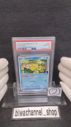 PSA 10| 2025 Pokemon Card Psyduck 262/SV-P Gym Promo Pack 10 Japanese Limited 2 - Image 2