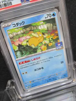 PSA 10| 2025 Pokemon Card Psyduck 262/SV-P Gym Promo Pack 10 Japanese Limited 2 - Image 4