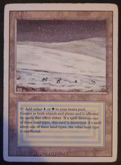 1x Tundra Revised Edition MP-HP MTG - Image 1