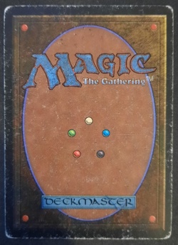 1x Tundra Revised Edition MP-HP MTG - Image 2