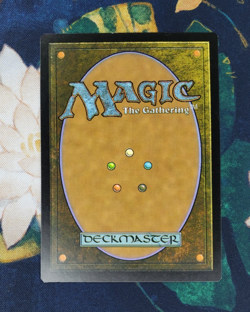 Authority of the Consuls - Kaladesh (KLD) 005 - Image 2