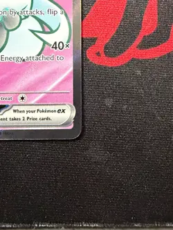 Cinccino ex 105/086 ME04: Chaos Rising Pokemon TCG - NM - Image 5