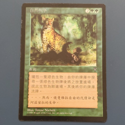 Magic: The Gathering Natural Order Visions Chinese 1997 Sorcery Green Common - Image 1