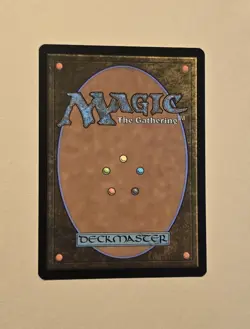 MTG Walk-In Closet / Forgotten Cellar - Borderless NM Fast FREE Shipping! - Image 2