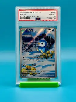 PSA 8 - 2025 Pokemon PFL Piplup IR #098 - Image 1