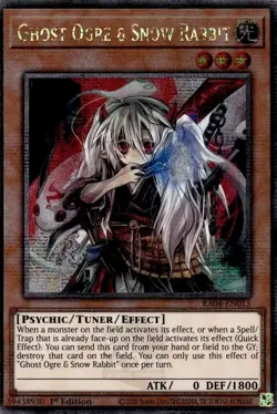 YUGIOH GHOST OGRE & SNOW RABBIT QUARTER CENTURY SECRET RARE NM RA04-EN015 - Image 1