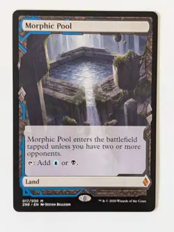 (Extended Art) Morphic Pool, NM-Mint, English Zendikar Rising Expeditions - Image 1