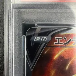 PSA 10 Entei V SAR 213/172 Vstar Universe s12a 2022 Japanese Pokemon Card - Image 4