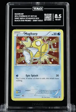 TAG 8.5 NM MINT+ Magikarp Pokemon 2016 Shiny Black Star Promo #XY143 - Image 1