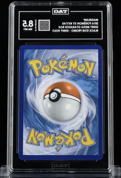 TAG 8.5 NM MINT+ Magikarp Pokemon 2016 Shiny Black Star Promo #XY143 - Image 2