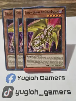 Yu-Gi-Oh Curse Of Dragon The Cursed Dragon X3 MP21 1st Common Light Played - Image 1
