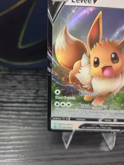 Eevee V SWSH065 Promo SWSH: Sword & Shield Promo Cards NM - Image 4