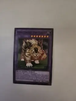 Yugioh! Amazoness Pet Liger - MP18-EN166 - Common - 1st Edition Near Mint, Engli - Image 1