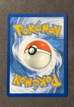 Pokemon TCG Braixen TG01/TG30 Trainer Gallery Full Art Silver Tempest NM-MT - Image 2