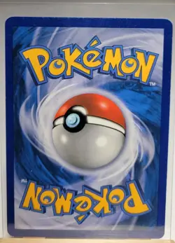 Tepig BW02 Holo Black & White Promos Pokemon TCG - Image 2