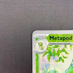 Metapod 011/165 Pokemon Scarlet Violet 151 Reverse Holo NM - Image 3