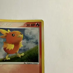 Pokemon TCG - Torchic 017/040 (Black Star Promo) Nintendo Promo Holo - Image 2