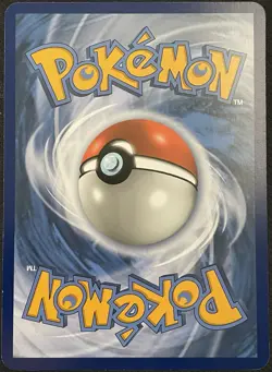 Umbreon and Darkrai GX Tag Team Black Star card Promo SM241 ( Nm/LP) - Image 2