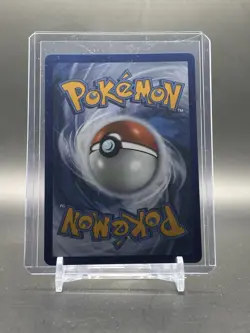 Black Belt's Training 255/217 Ultra Rare Ascended Heroes Pokemon Holo Near Mint - Image 2