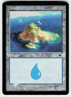 Island Foil L Onslaught 337 LP - Image 1