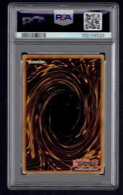 2005 Yugioh SD Dragon's Roar Red-Eyes Darkness Dragon 1st Edition PSA 8 - Image 1