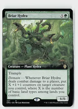 Briar Hydra (Extended Art) R Dominaria United 427 NM - Image 1