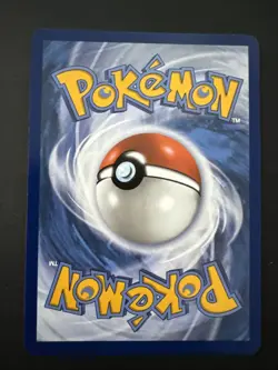 Pokemon Swinub 165/159 Sv09: Journey Together IR Holo - Image 2