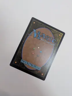 MTG - Poison Dart Frog - Commander: Modern Horizons 3 NM/M Condition - Image 3