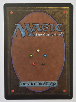 MTG Army of Allah LIGHT Arabian Nights 1993 Vintage Magic Card - Image 2