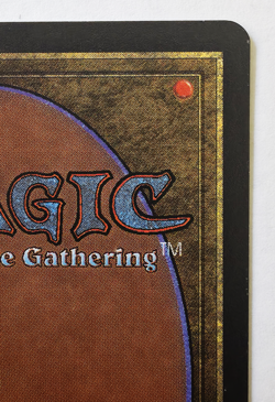 MTG Army of Allah LIGHT Arabian Nights 1993 Vintage Magic Card - Image 4
