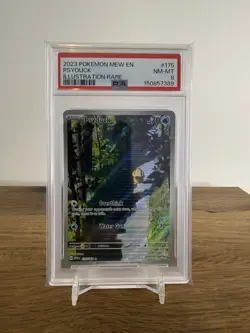 Pokemon TCG Psyduck 175/165 SV 151 Illustration Rare English PSA 8 - Image 1