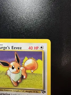 Lt. Surge's Eevee 51/132 Uncommon Gym Challenge Pokemon Unlimited (NM-) - Image 4