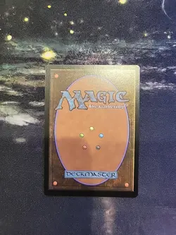 MTG FOIL Seedborn Muse NM Near Mint Commander Collection Green - Image 3